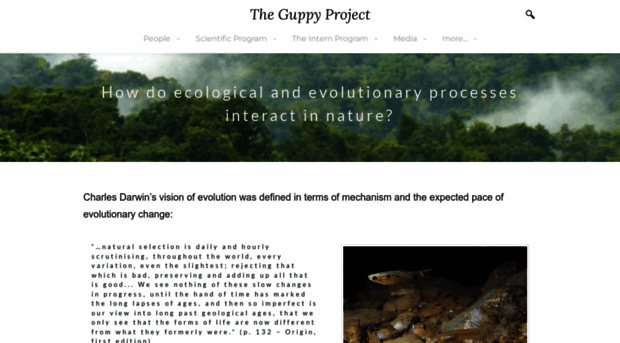 theguppyproject.weebly.com