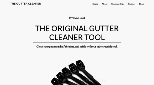 theguttercleaner.com