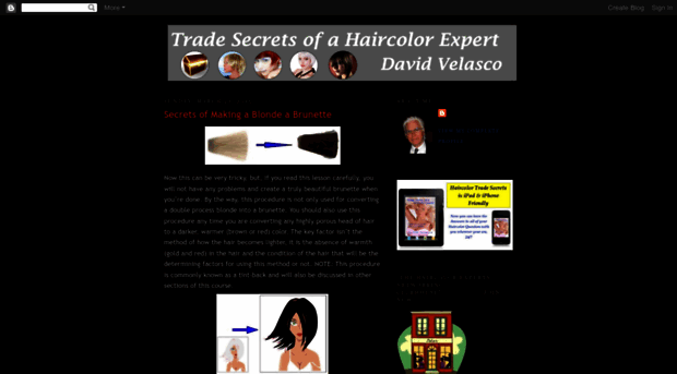 thehaircolorexpert.blogspot.com