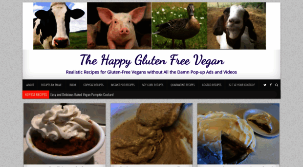 thehappyglutenfreevegan.com