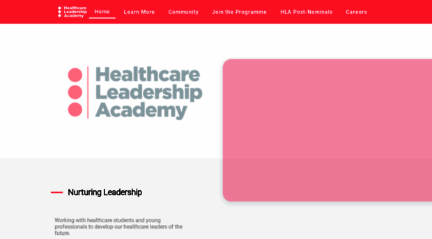 thehealthcareleadership.academy