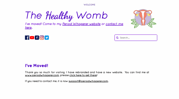 thehealthywomb.com