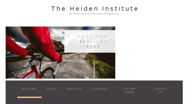 theheideninstitute.com