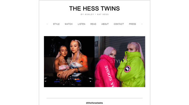 thehesstwins.com