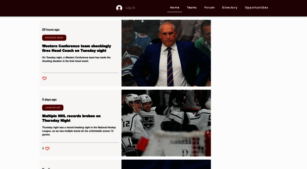 thehockeyspotlight.com