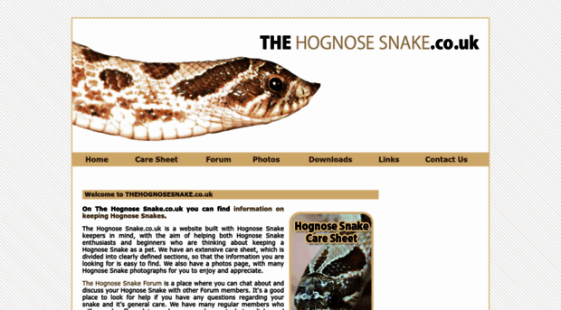 thehognosesnake.co.uk