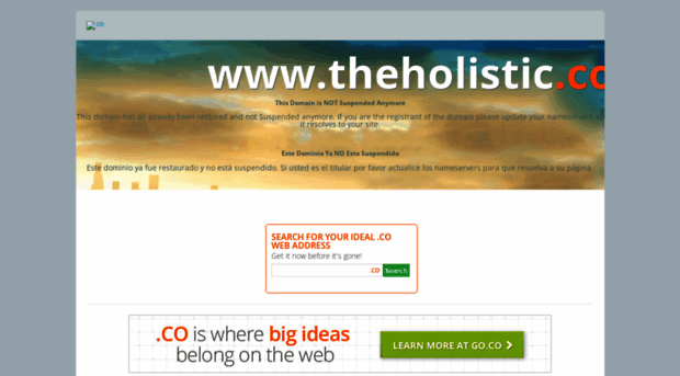 theholistic.co