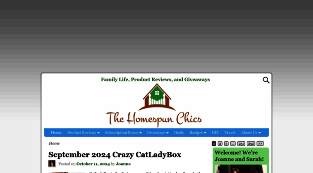 thehomespunchics.com