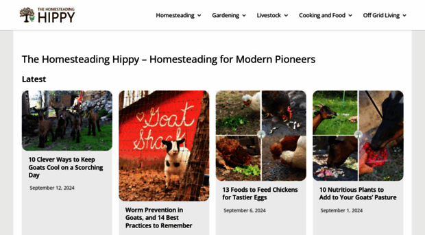 thehomesteadinghippy.com