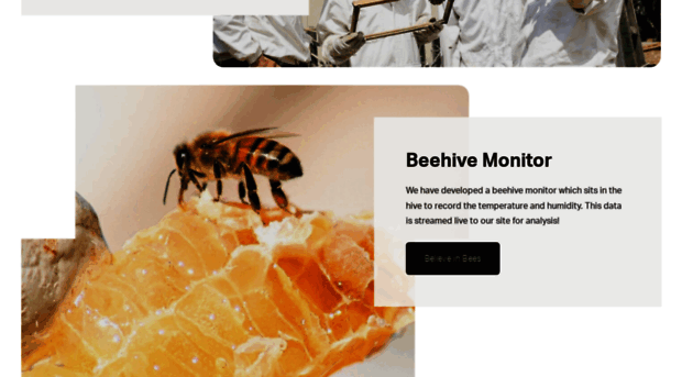 thehoneybeesociety.org