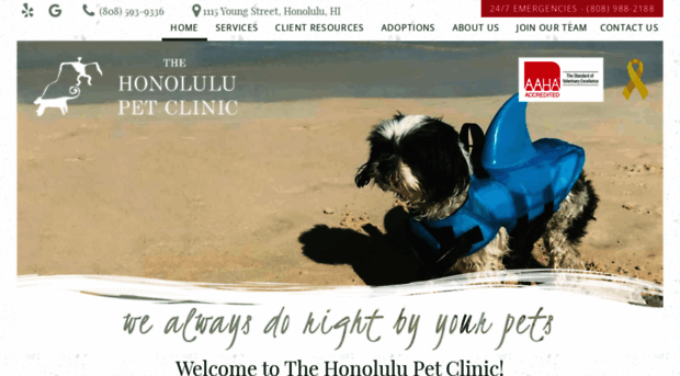 thehonolulupetclinic.com