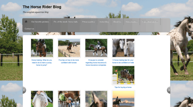 thehorseriderblog.wordpress.com