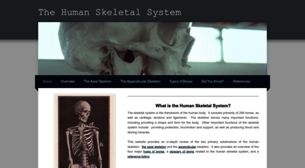 thehumanskeleton.weebly.com