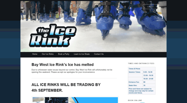 theicerink.co.za