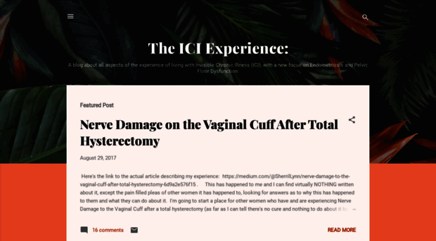 theiciexperience.blogspot.com