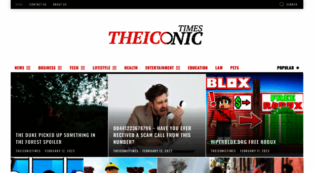 theiconictimes.com