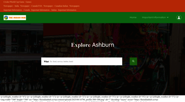 theindianhub.ca