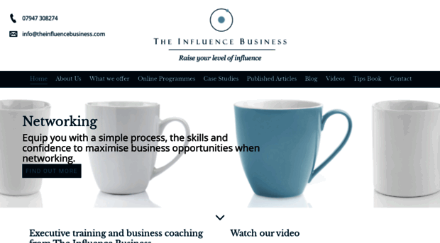 theinfluencebusiness.com