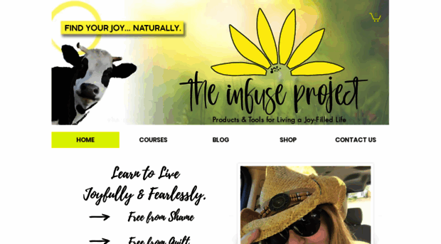 theinfuseproject.com