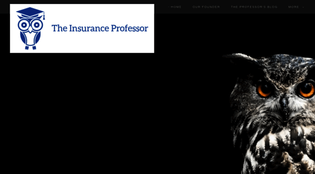 theinsuranceprofessor.net