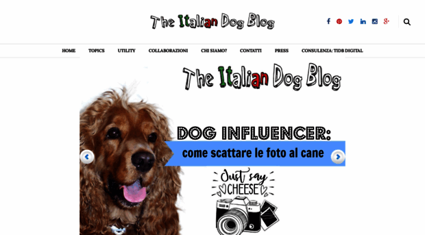 theitaliandogblog.com