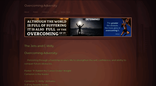 thejetsovercomingadversity.weebly.com