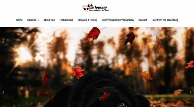 thejourneyphotos.com