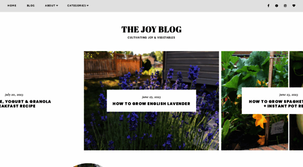 thejoyblog.net