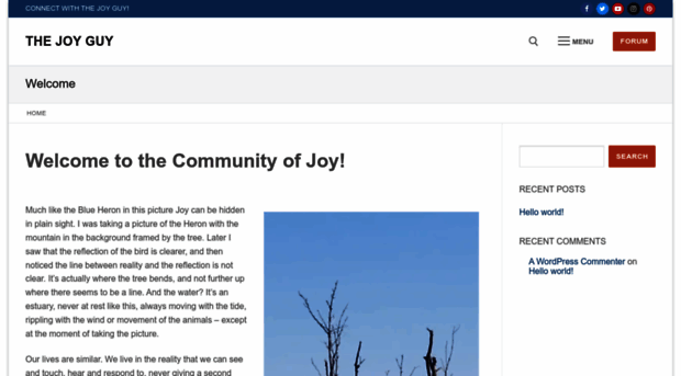 thejoyguy.com