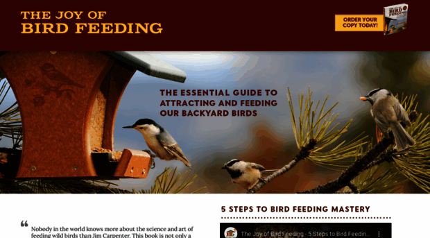 thejoyofbirdfeeding.com