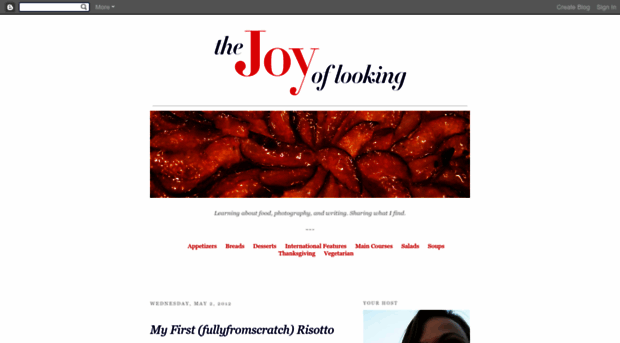 thejoyoflooking.blogspot.com