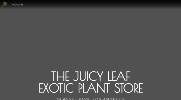 thejuicyleaf.com