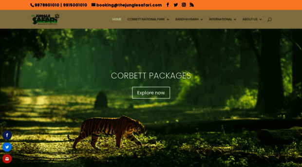 thejunglesafari.com