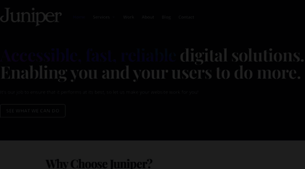 thejuniperstudio.com