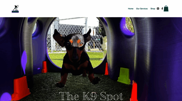 thek9spot.com