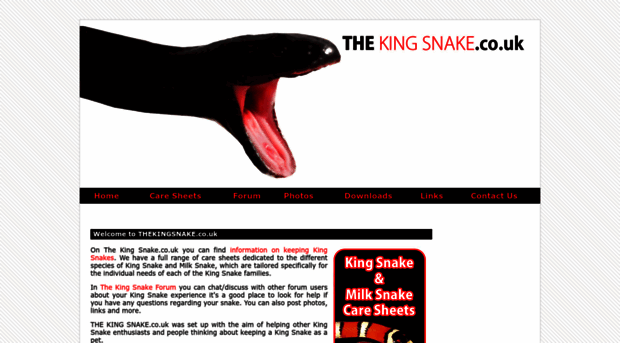 thekingsnake.co.uk