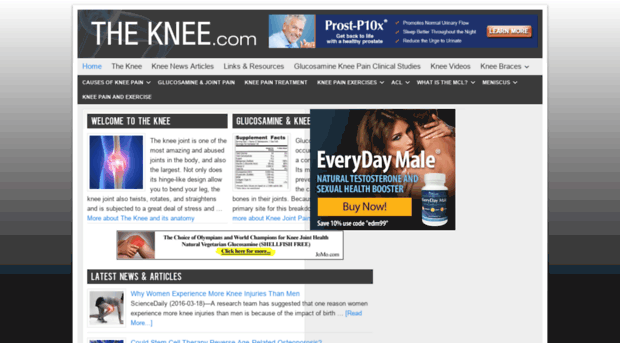 theknee.com