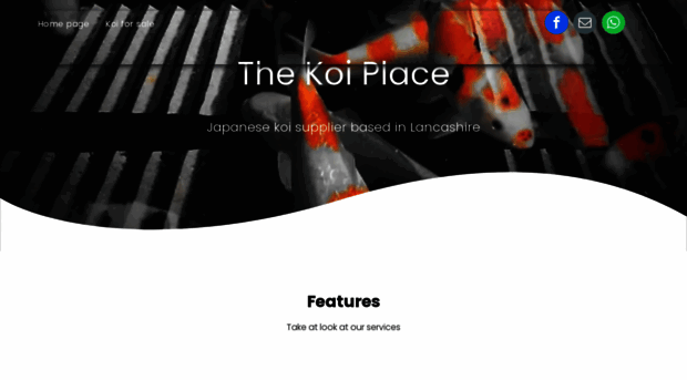 thekoiplace.com