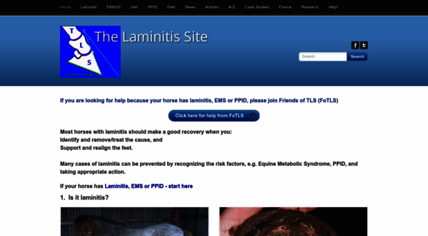 thelaminitissite.org