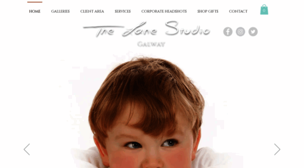 thelanestudios.com