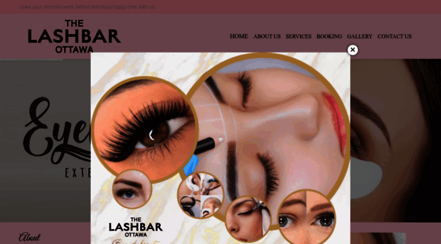 thelashbarottawa.com