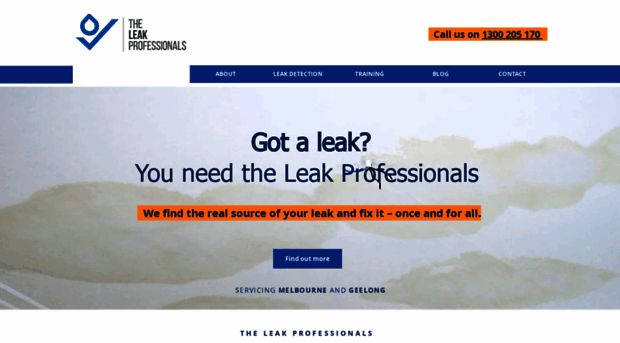 theleakprofessionals.com.au