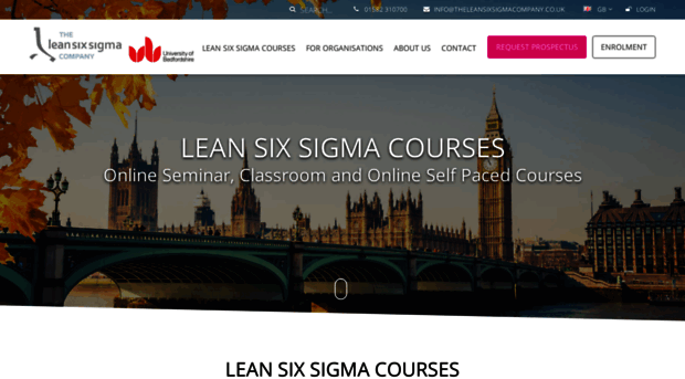 theleansixsigmacompany.co.uk