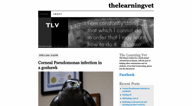 thelearningvet.wordpress.com