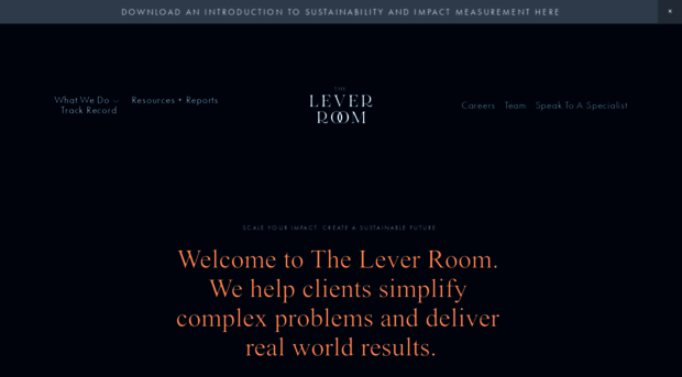 theleverroom.com