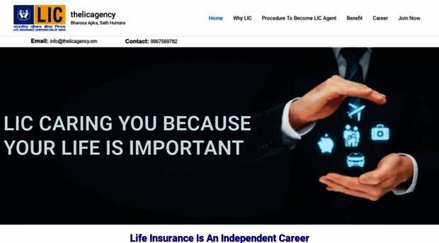 thelicagency.com