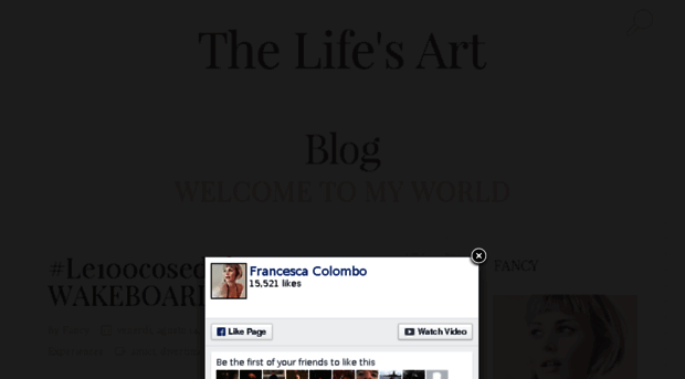 thelifesart.com