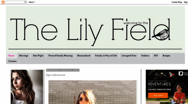 thelilyfield.blogspot.com