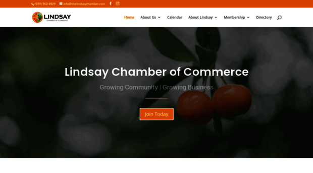 thelindsaychamber.com