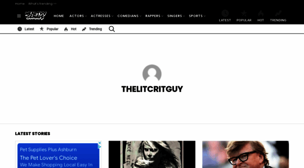 thelitcritguy.com